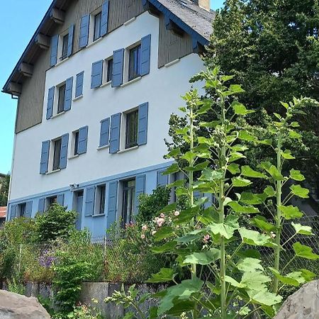 Chalet Du Doumet - Appart Luz Centre - Parking Et Garage Individuel Ferme - Draps Et Serviettes Inclus Люс-Сен-Совёр Экстерьер фото